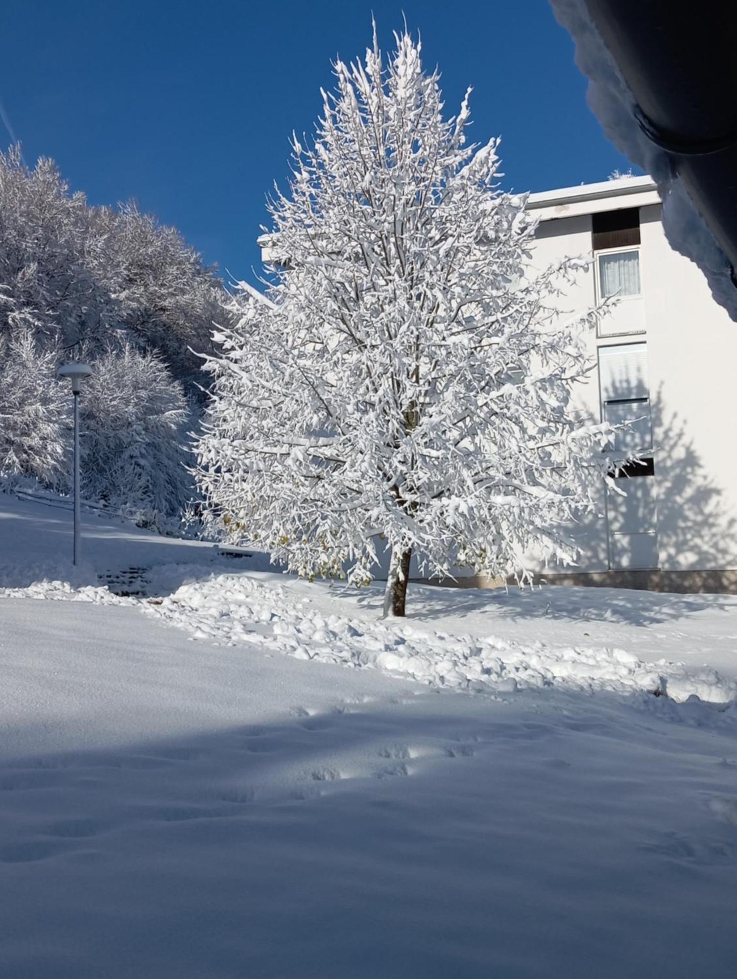 Plitvice Green Apartment Plitvička Jezera Εξωτερικό φωτογραφία